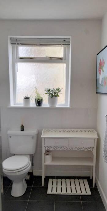 Apartmán The Flower House, Idyllic Cornish Retreat. Saint Erth Exteriér fotografie